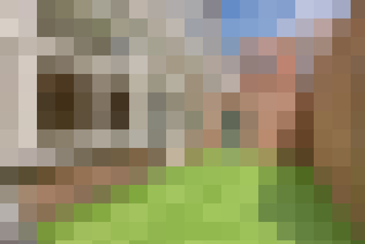 Image 28