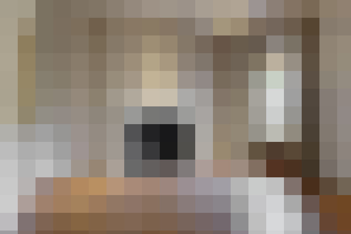 Image 53