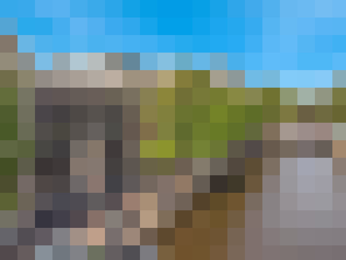 Image 40