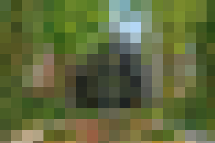 Image 36
