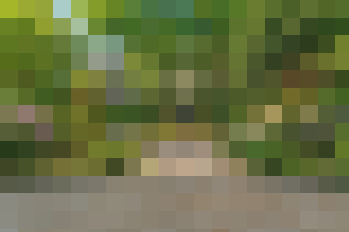 Image 39