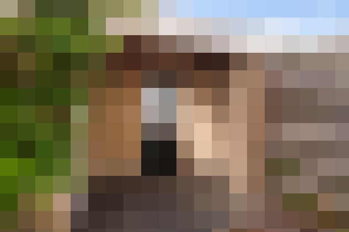 Image 45