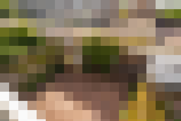 Image 40