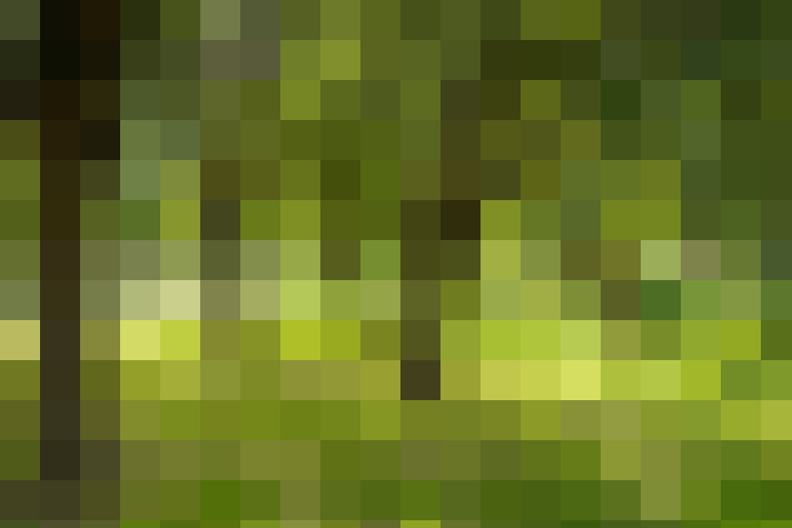 Image 57