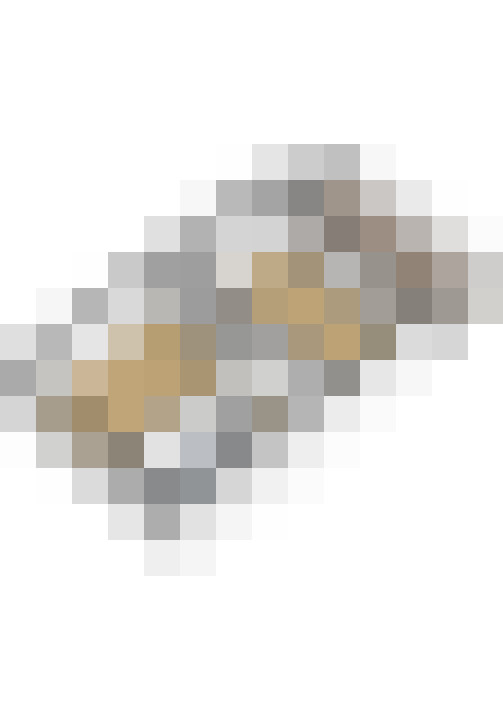 Image 52