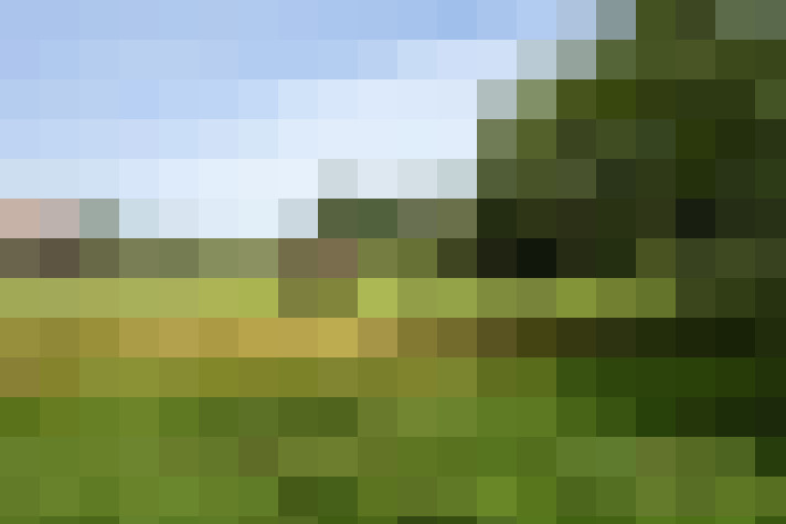 Image 55