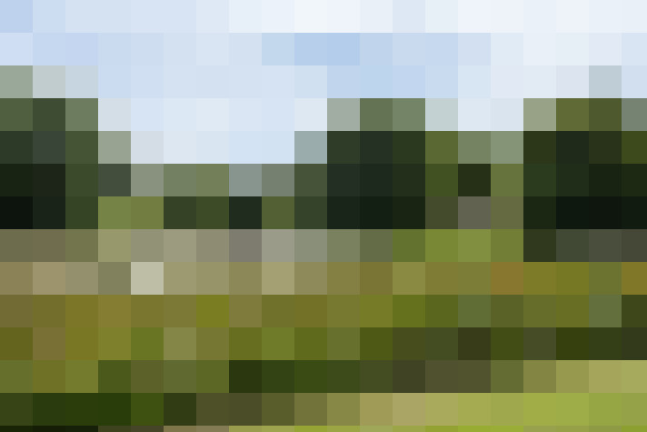 Image 56