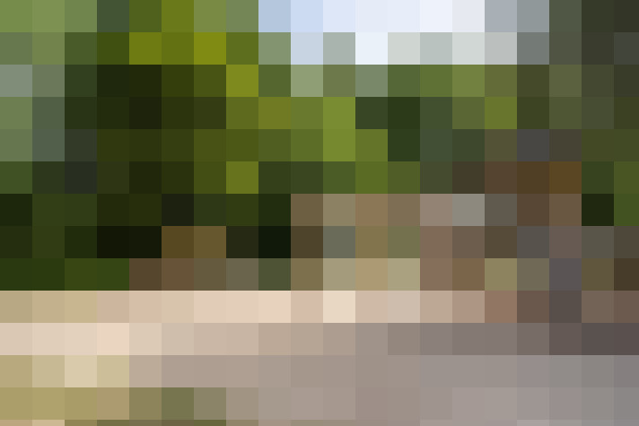 Image 58