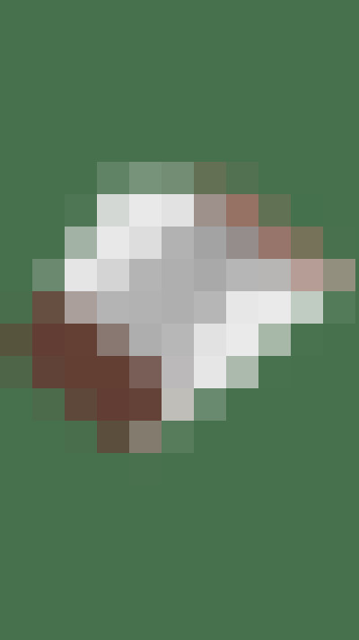Image 39