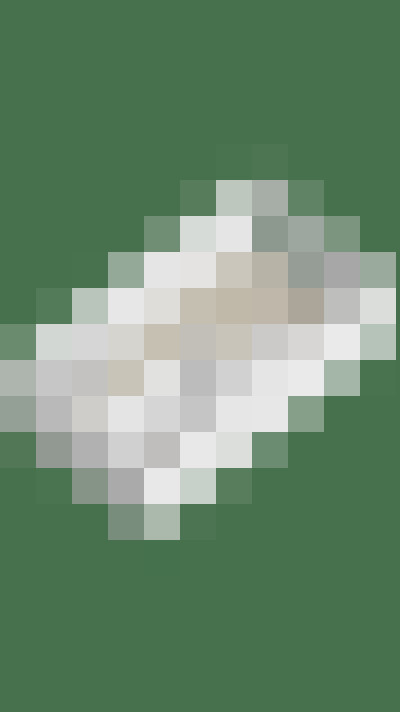 Image 37