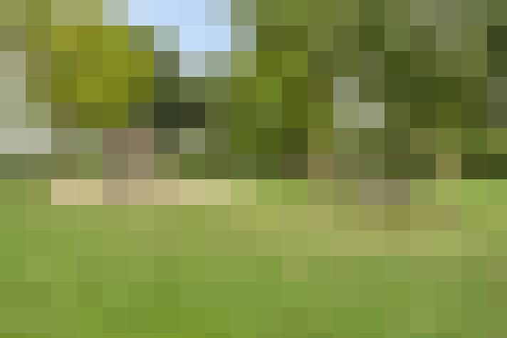 Image 31