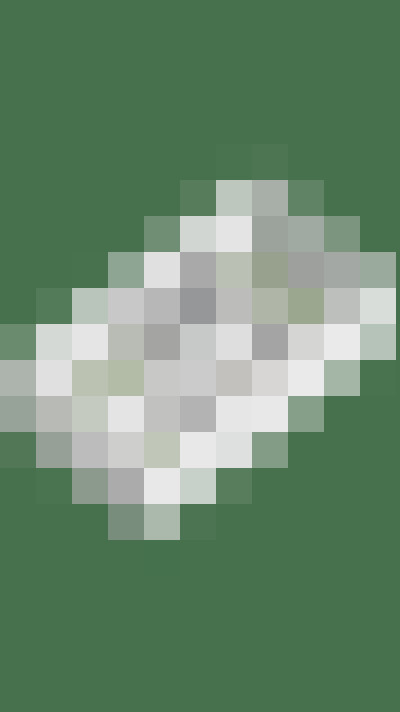 Image 38