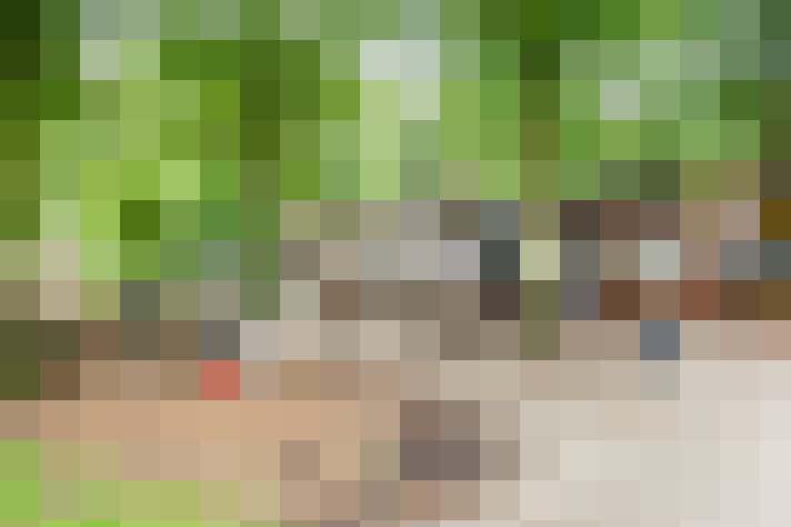 Image 34