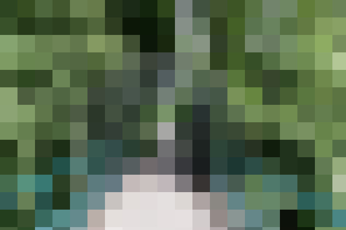 Image 32