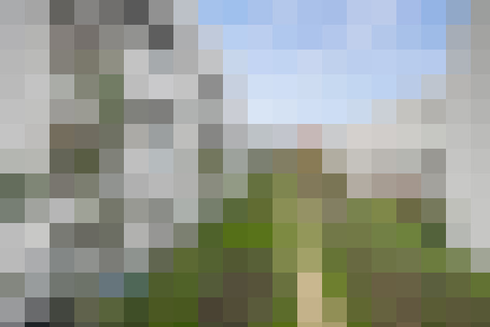 Image 14