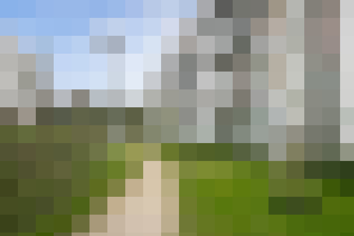 Image 15