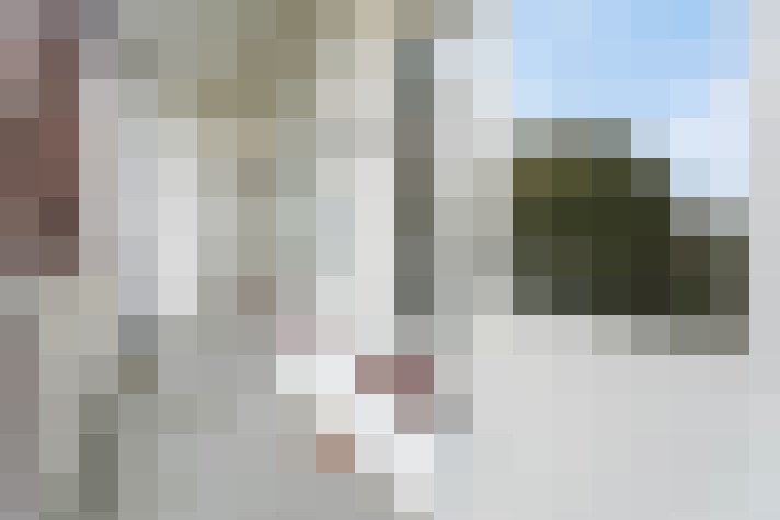 Image 13