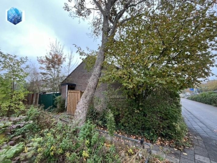 Bekijk foto 1/9 van house in Leiden