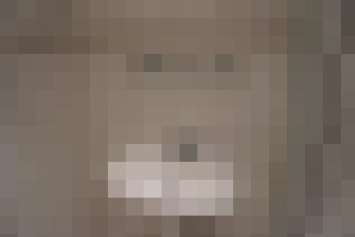  / #13
