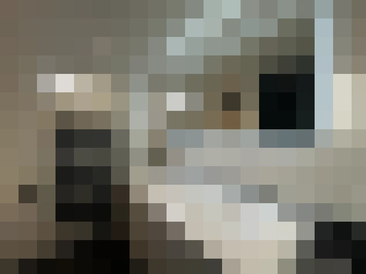  / #24