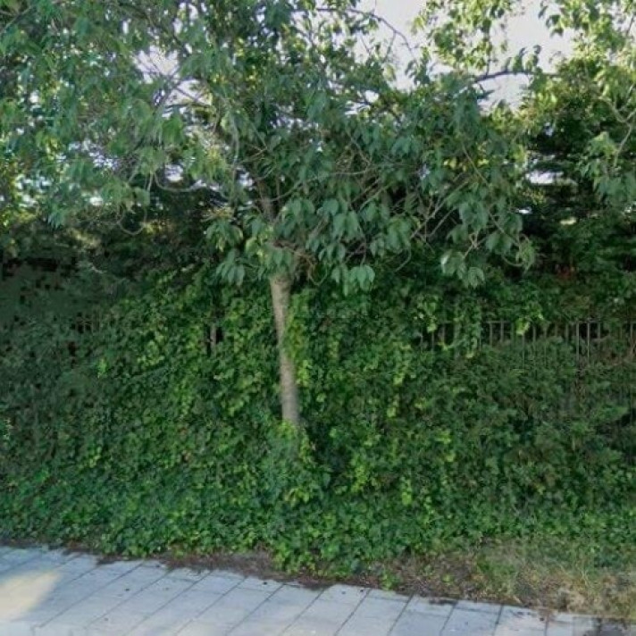 Bekijk foto 1/1 van house in Zwijndrecht