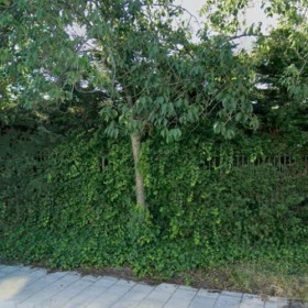 Woonhuis in Zwijndrecht