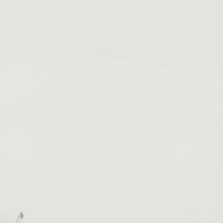 Bekijk foto 1/1 van house in Oude IJsselstreek