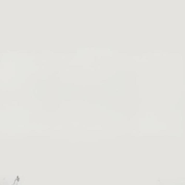 Bekijk foto 1/1 van house in Emmen