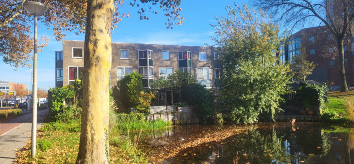 Bekijk foto 1/12 van house in Zuidplas