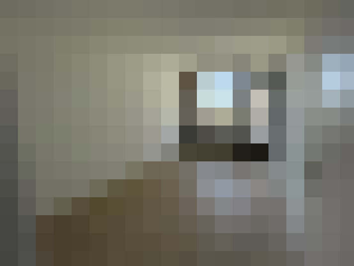  / #20