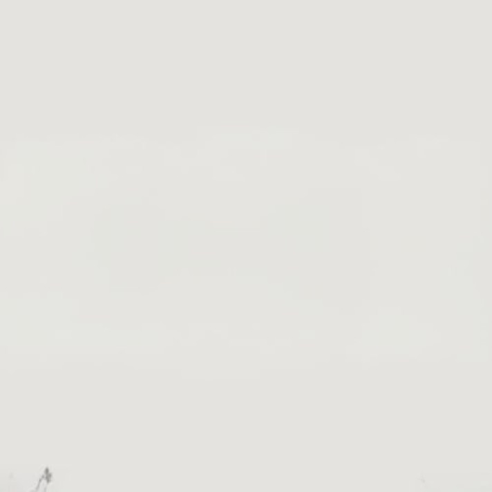 Bekijk foto 1/1 van house in Zoetermeer