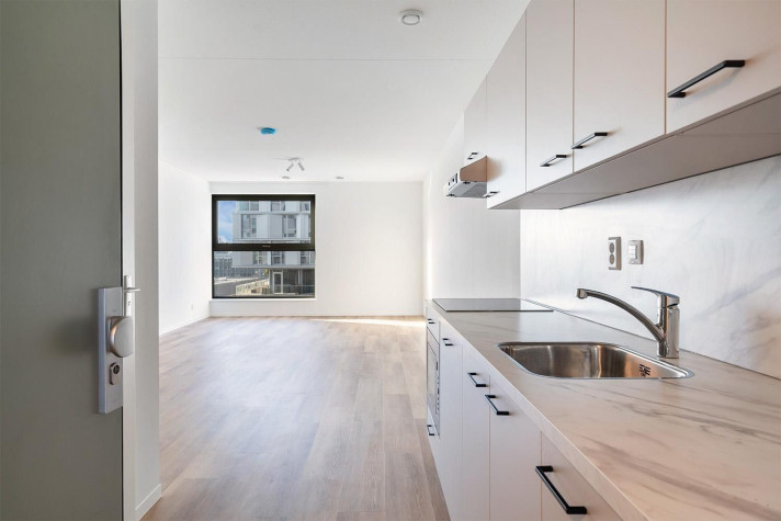 Bekijk foto 1/12 van apartment in Leiden