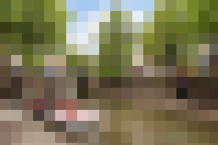  / #84