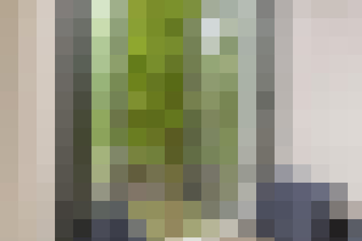  / #19