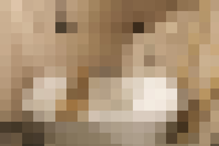  / #61