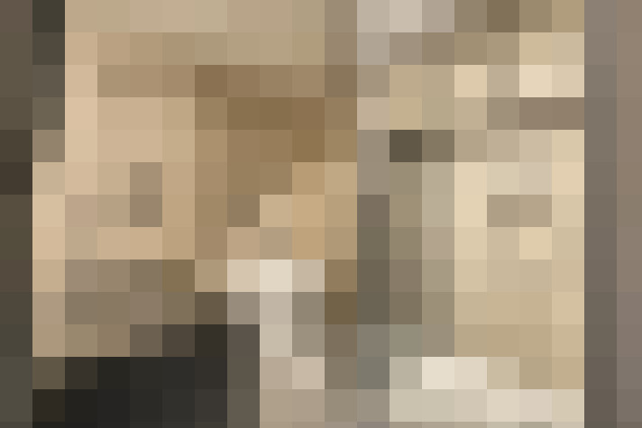  / #58