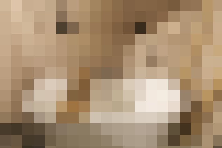  / #62