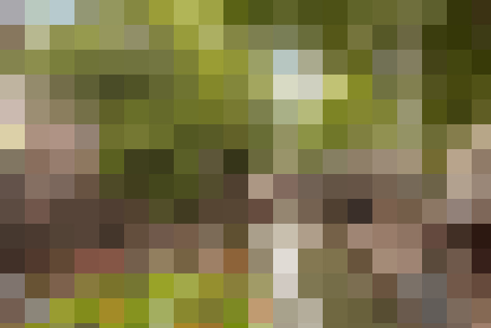  / #79