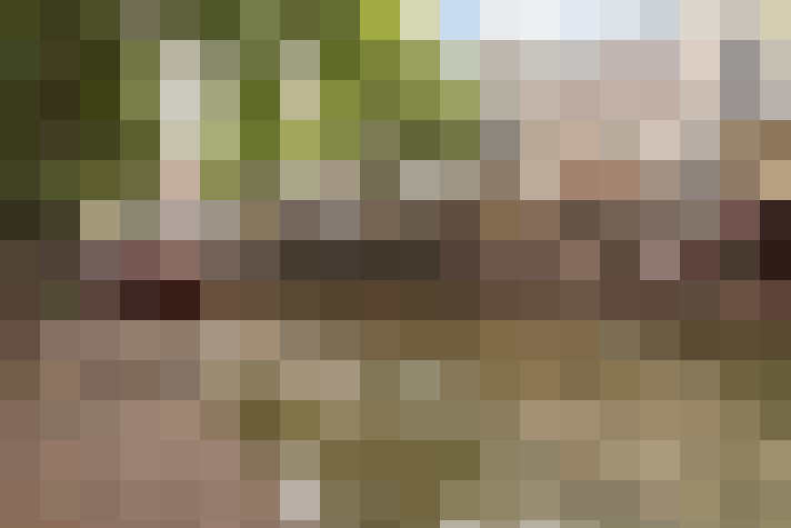  / #82