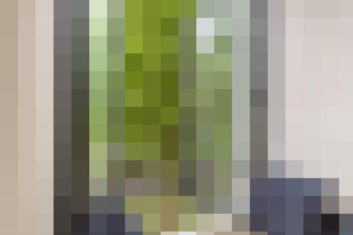  / #20