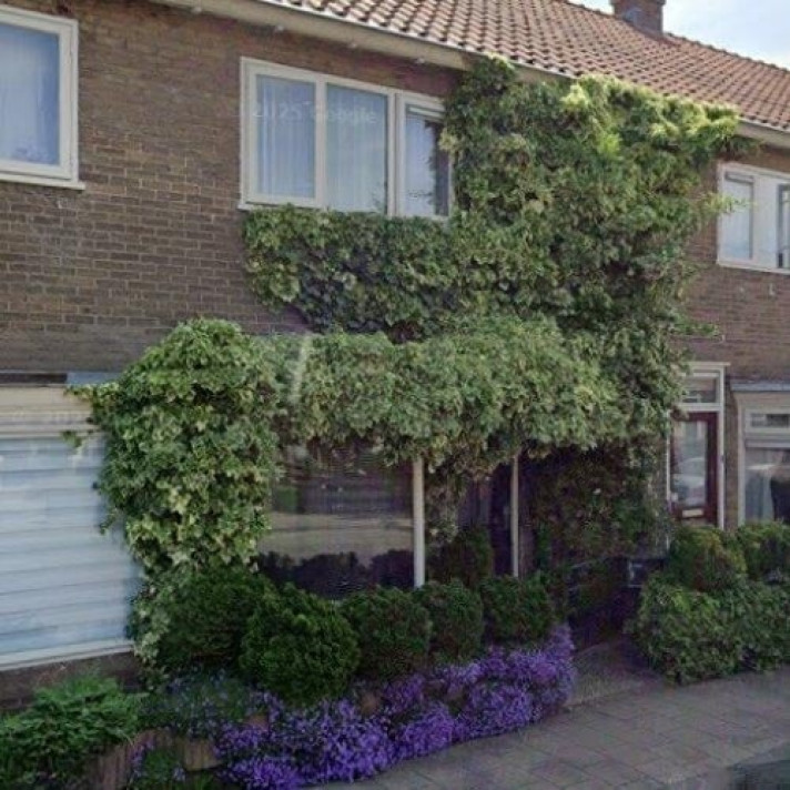 Bekijk foto 1/1 van house in Arnhem