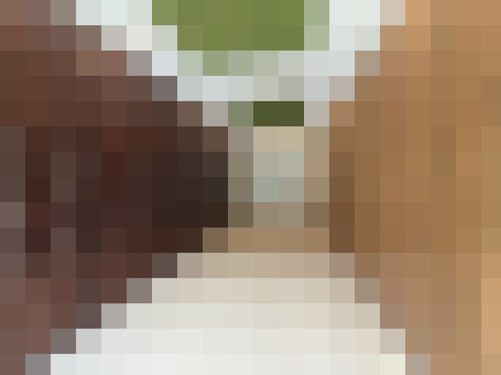  / #13