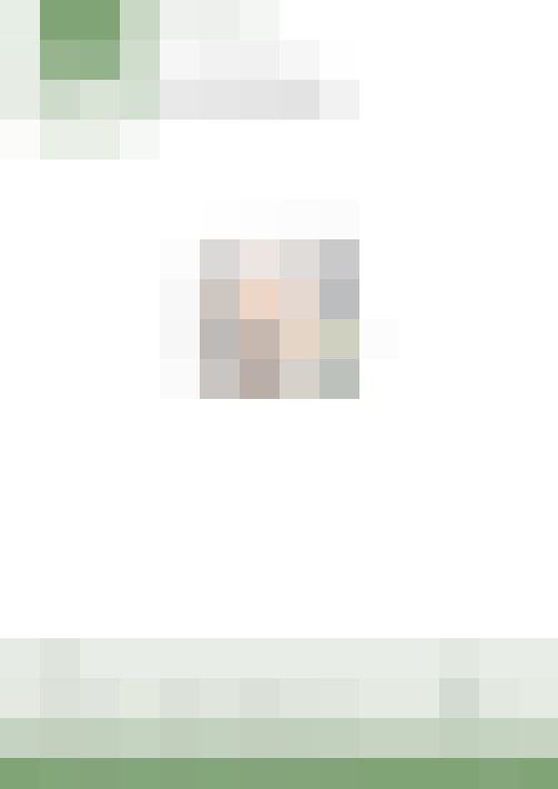  / #66