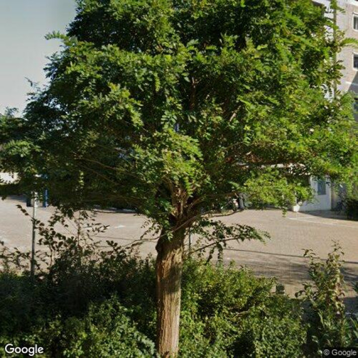 Bekijk foto 1/1 van studio in Duivendrecht