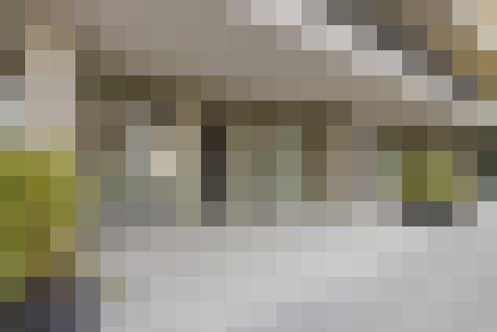  / #61