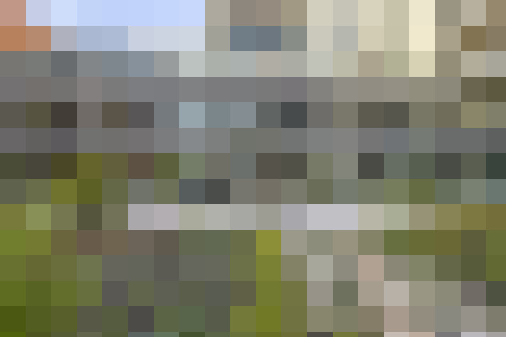  / #66