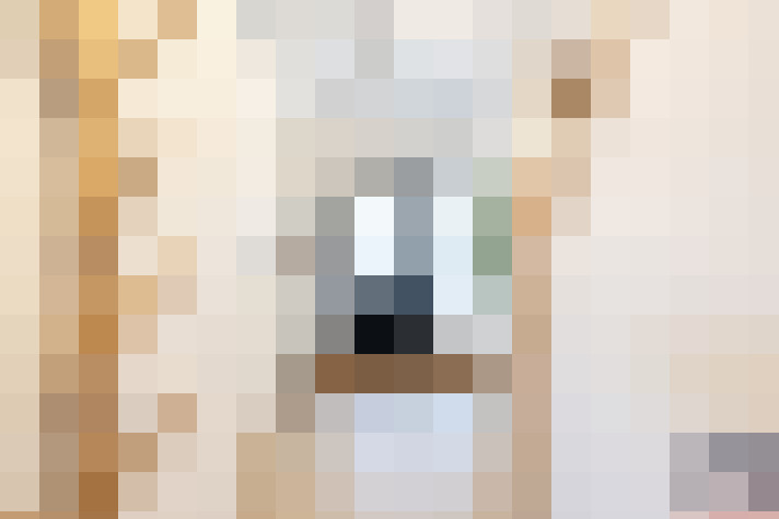  / #16