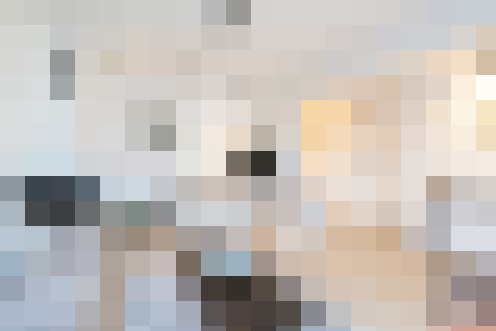  / #12