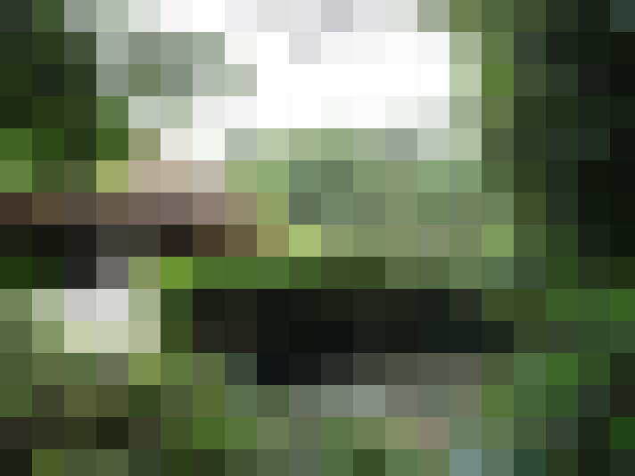 Image 14
