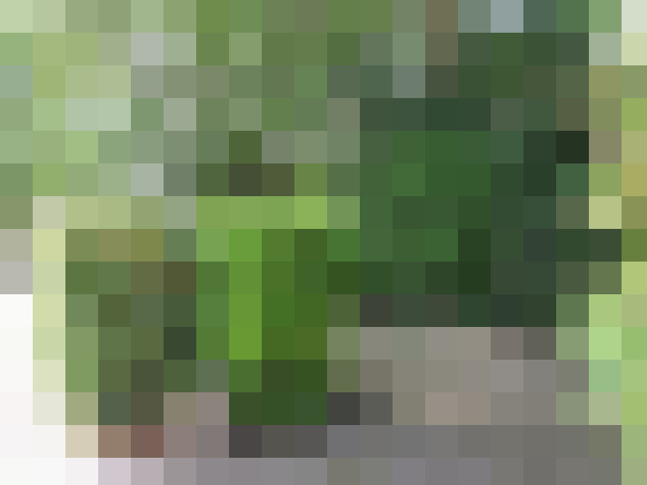Image 13